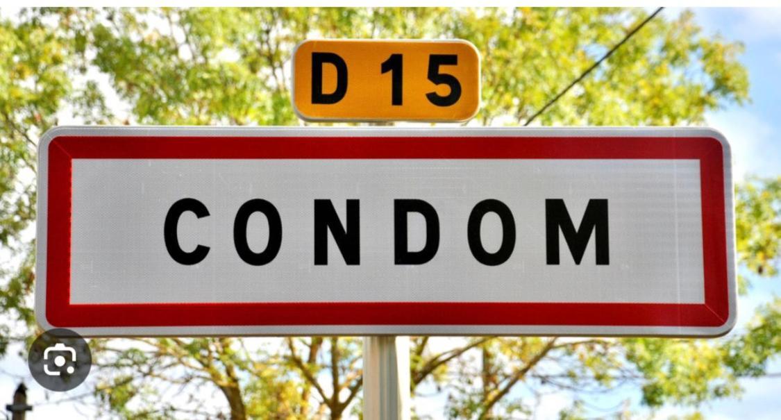 " Venez Dormir Chez Nous " #Condom#Gascogne#D'Artagnan#Armagnac#Le Bonheur Est Dans Le Gers ภายนอก รูปภาพ